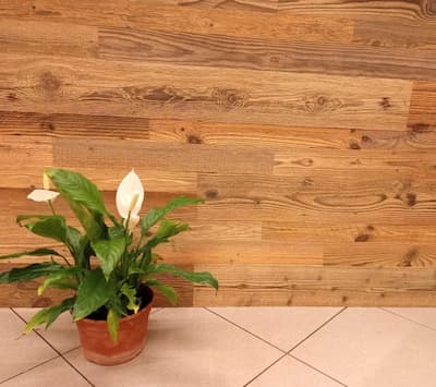 Stickers biadesivi P9 plancher misto