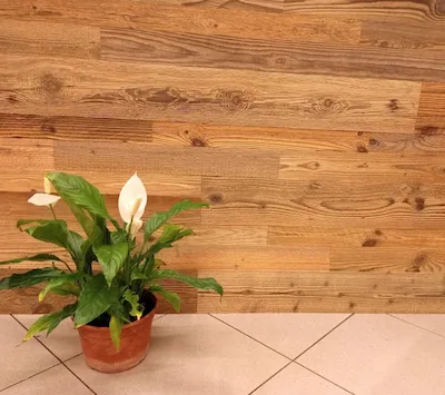 Stickers biadesivi P9 plancher misto