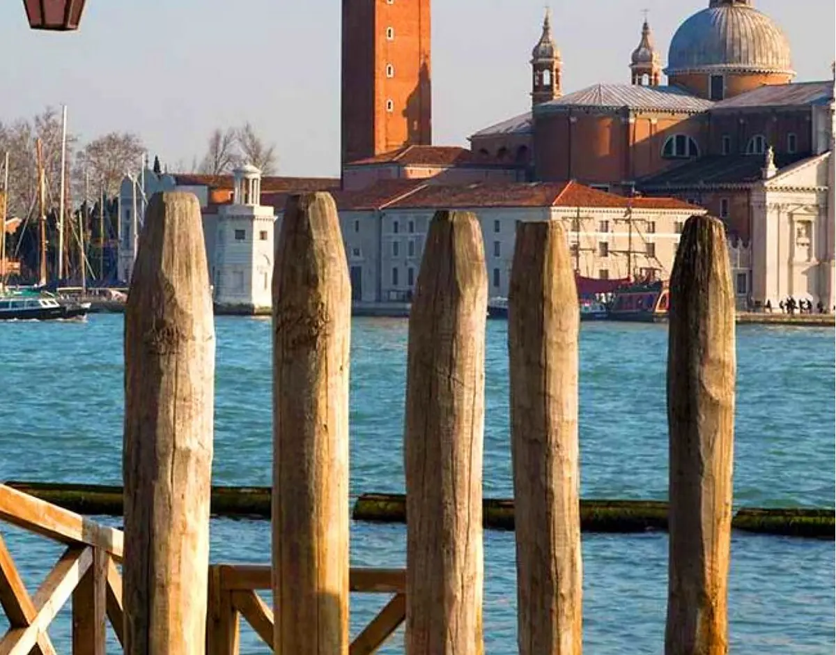 Briccole de Venise — Vieux Bois Torreano