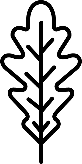 Icône Patines Uniques